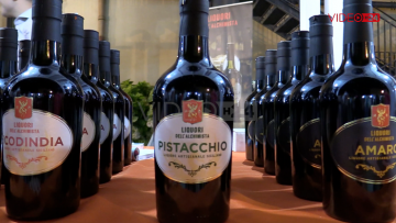 Siciliamo Wine is More